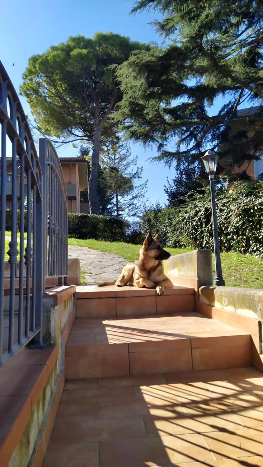 Appartamenti Pesaro Mare Ledimar Bagian luar foto